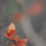 Fot. Marta Wojciechowska