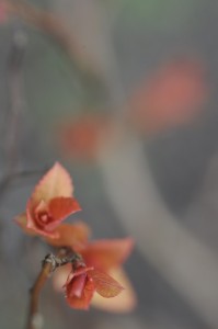 Fot. Marta Wojciechowska