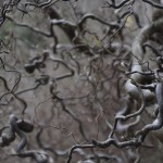 Fot. Marta Wojciechowska