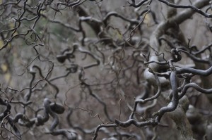 Fot. Marta Wojciechowska