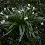 Fot. Małgorzata Marczuk