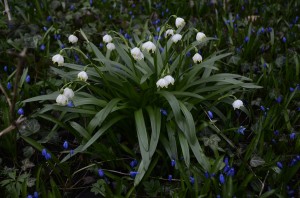 Fot. Małgorzata Marczuk