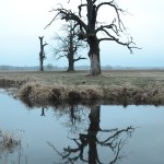 Fot. Małgorzata Kozak