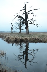 Fot. Małgorzata Kozak