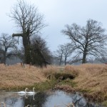 Fot. Małgorzata Kozak