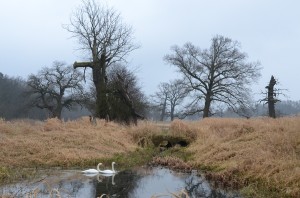Fot. Małgorzata Kozak