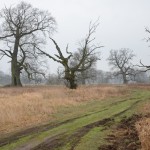 Fot. Małgorzata Kozak