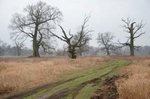 Fot. Małgorzata Kozak
