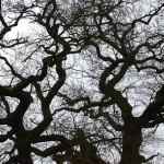 Fot. Małgorzata Kozak