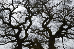 Fot. Małgorzata Kozak