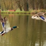 Fot. Małgorzata Kozak