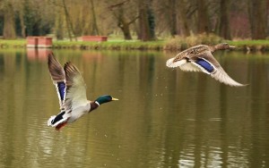 Fot. Małgorzata Kozak