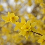 Fot. Małgorzata Kozak