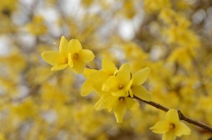 Fot. Małgorzata Kozak