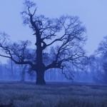 Fot. Katarzyna Kalinowska