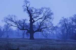 Fot. Katarzyna Kalinowska
