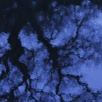 Fot. Katarzyna Kalinowska