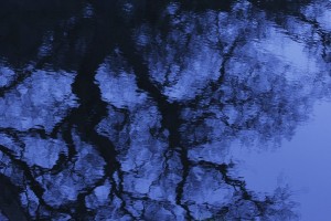 Fot. Katarzyna Kalinowska