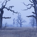 Fot. Katarzyna Kalinowska