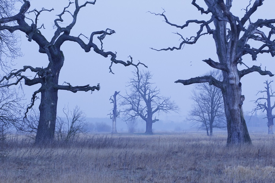 Fot. Katarzyna Kalinowska