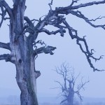 Fot. Katarzyna Kalinowska