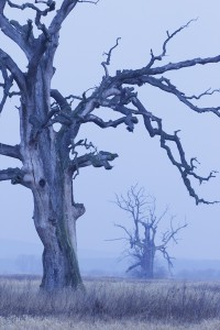 Fot. Katarzyna Kalinowska