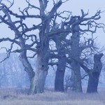 Fot. Katarzyna Kalinowska