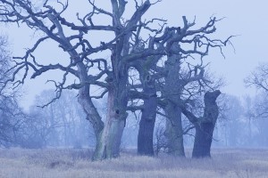 Fot. Katarzyna Kalinowska