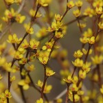 Fot. Katarzyna Kalinowska