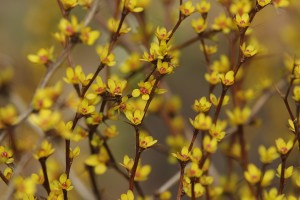 Fot. Katarzyna Kalinowska