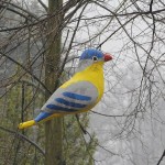 Fot. Katarzyna Kalinowska