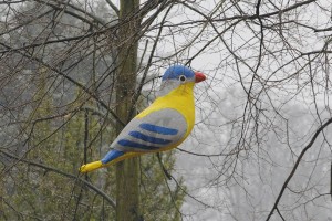 Fot. Katarzyna Kalinowska