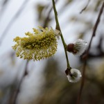 Fot. Małgorzata Kozak
