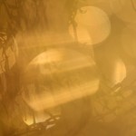 Fot. Agata Łęgowska