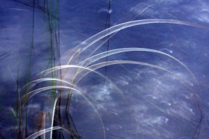 Fot. Agata Łęgowska