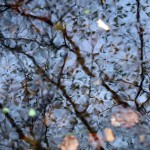 Fot. Agata Łęgowska