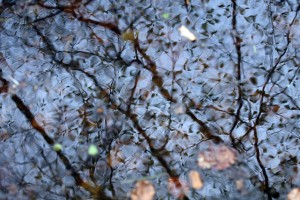 Fot. Agata Łęgowska