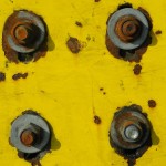 Fot. Bożena Królikowska