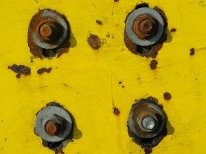 Fot. Bożena Królikowska