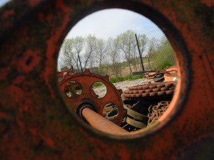 Fot. Bożena Królikowska