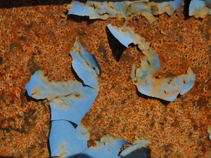 Fot. Bożena Królikowska