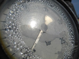 Fot. Bożena Królikowska