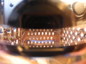 Fot. Bożena Królikowska