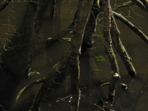 Fot. Bożena Królikowska