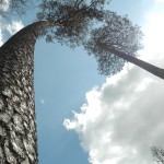 Fot. Bożena Królikowska