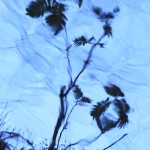 Fot. Agata Łęgowska