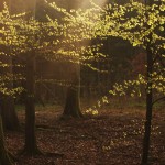 Fot. Agata Łęgowska