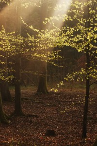 Fot. Agata Łęgowska