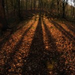 Fot. Agata Łęgowska