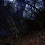 Fot. Agata Łęgowska